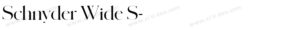 Schnyder Wide S字体转换
